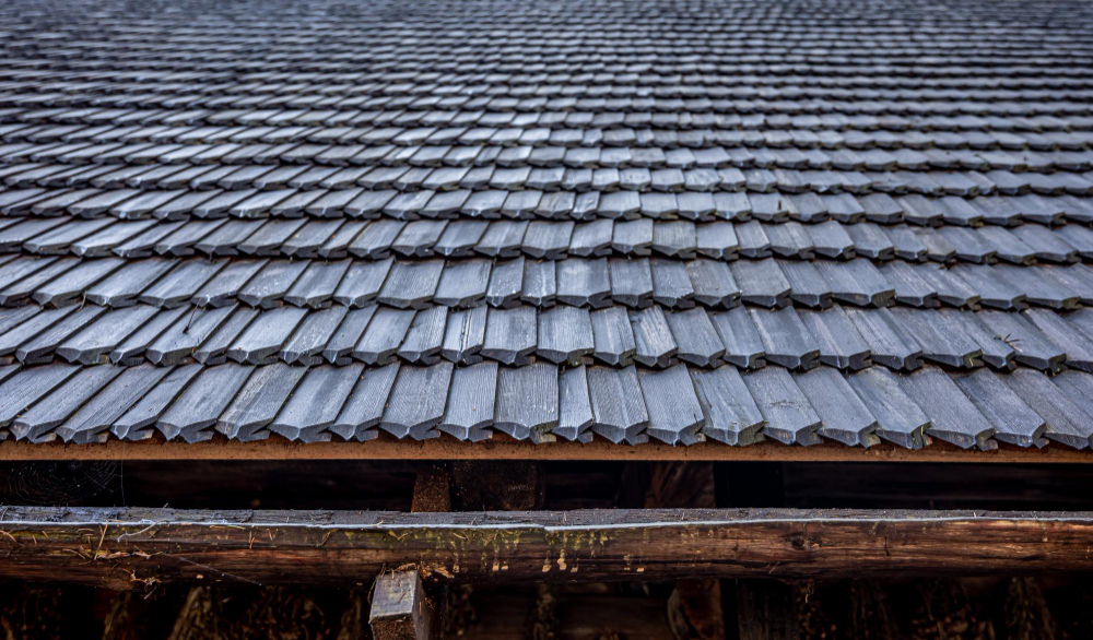Shingle Roof in Guelph